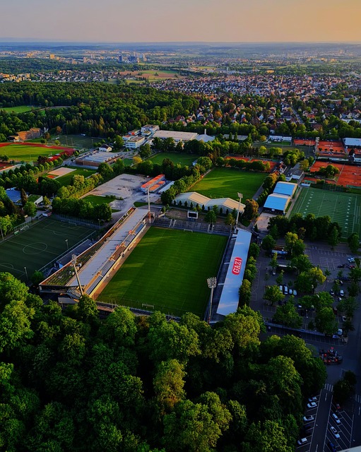 他们能够迅 他们能够迅