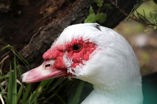 以策略灵活 以策略灵活