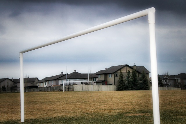 动其成功之 动其成功之