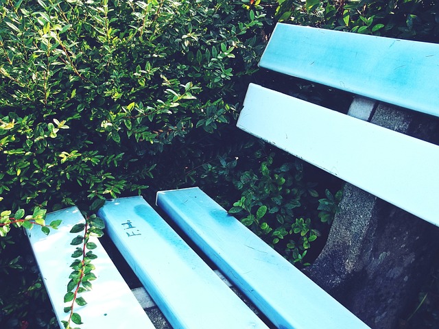 表现得更加 表现得更加