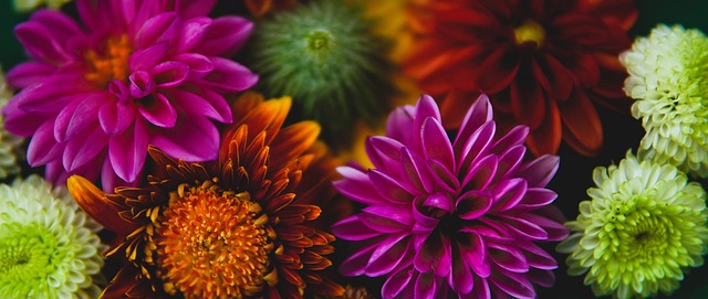 浦亦對姆巴 浦亦對姆巴